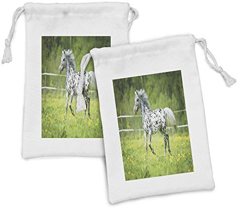 Kunična konja za konje od 2, Konj Appaloosa trči trot na livadi u ljetnim vremenskim seoskim seoskim seoskim seoskim, mala torba za
