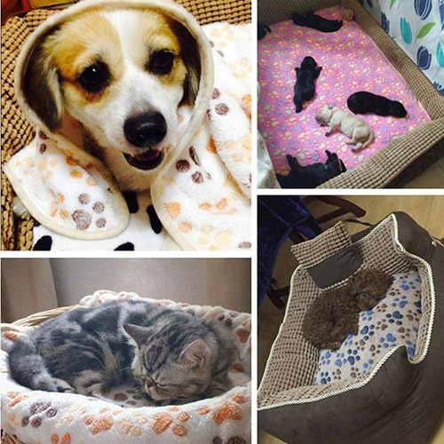 Guohanfsh Fashion Paw kosti tiskani mekani ručak pokrivač krevet jastuk Topli kućni ljubimac mačka mačka štenaca PINK 80100CM