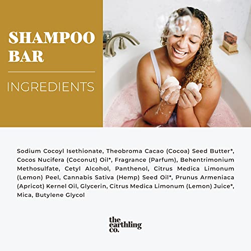 Šampon i regenerator Earthling Co. za kosu - biljni regenerator i šampon šipke za kosu svih vrsta - hladni povjetarac miris - bez parabena,
