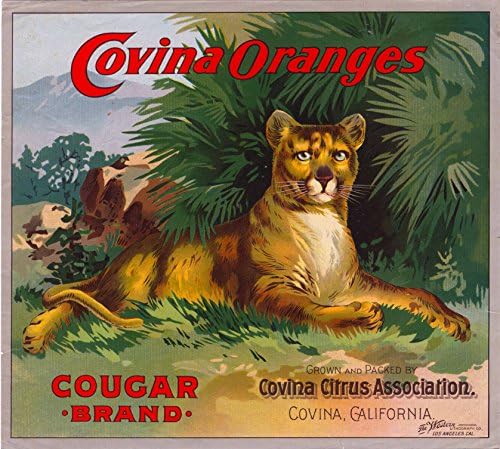 Kriška u vremenu covina los angeles california cougar brend narančasti citrusni voćni sanduk naljepnica art tiska