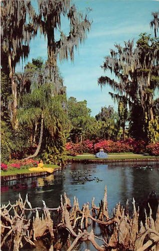 Gardens Cypress, na Floridi razglednice
