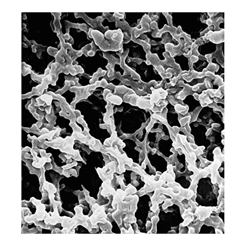 Membranska membrana miješanog celuloznog etera, hidrofilna, veličina pora 0,8 um, Promjer filtra 25 mm, bijela, glatka površina