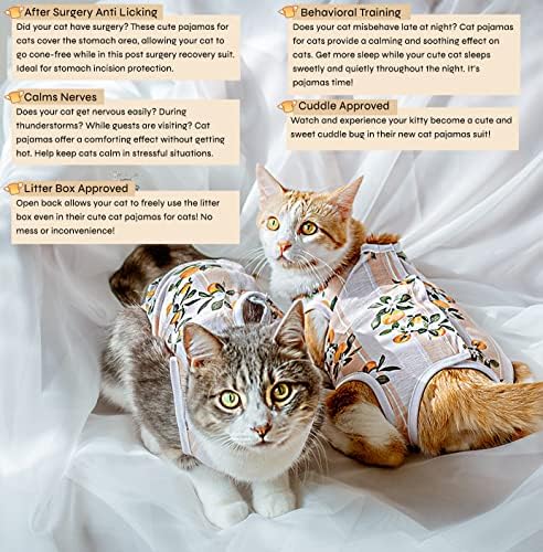 Nekopanco - mačji džemper, mačji krevet, odijelo za oporavak mačaka, mačja odjeća samo za mačke, mačja odjeća, mačka onousIe za mačke