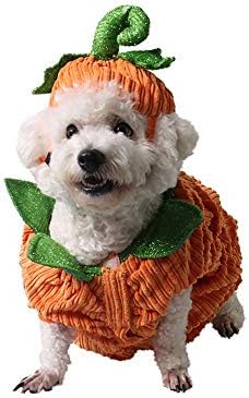 Leowow Pet Halloween odjeća za pseće kostimi za bundeve za male srednje velike pse-xxl