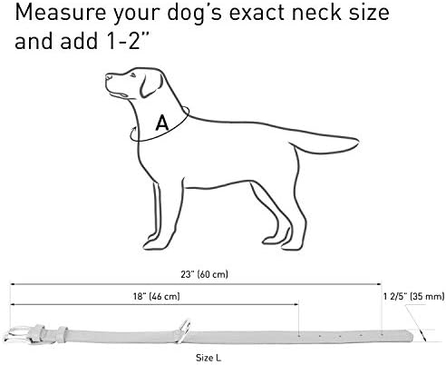 Waudog reflektirajuća kožna ogrlica za pse - izdržljivi pseći ovratnici za male srednje velike pse štene - crveno plava ružičasta ljubičasto