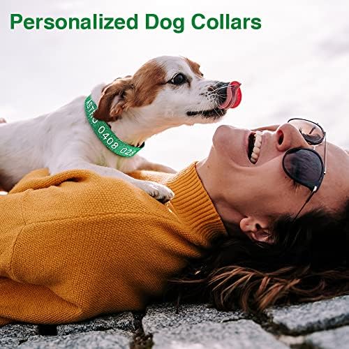 Shineao Personalizirani najlonski ovratnik za pse: Prilagođeni izvezeni ime i telefonski broj - sjajna tkanina / podesivi ovratnik