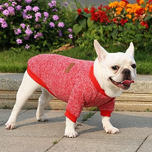 Beltbe French Doodle Pug Dog Cat Odjeća za kućne ljubimce jesen i zima Novi džemper Dvije noge Odjeća Odjeća vuna mali i srednji psi