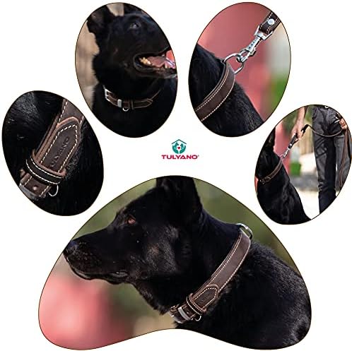Tulyano crna originalna kožna ovratnik za pse veliki srednji mali psi meka kože podstavljeni d-prsten za id oznaku