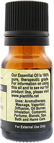 Biljni pačuli aromaterapija esencijalno ulje - ravno iz biljke čista terapeutski stupanj - bez dodataka ili punila - 10 ml