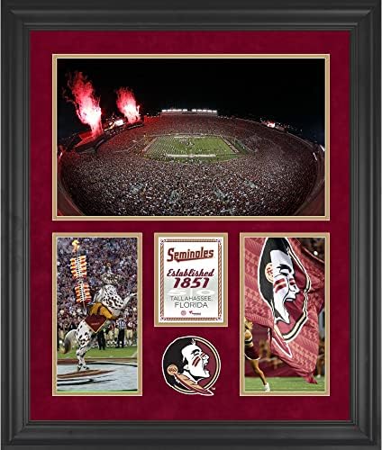 Florida State Seminoles Doak Campbell stadion uokviren 20 x 24 3 -otvaranje kolaža - Plakovi za fakultetske ekipe i kolaže